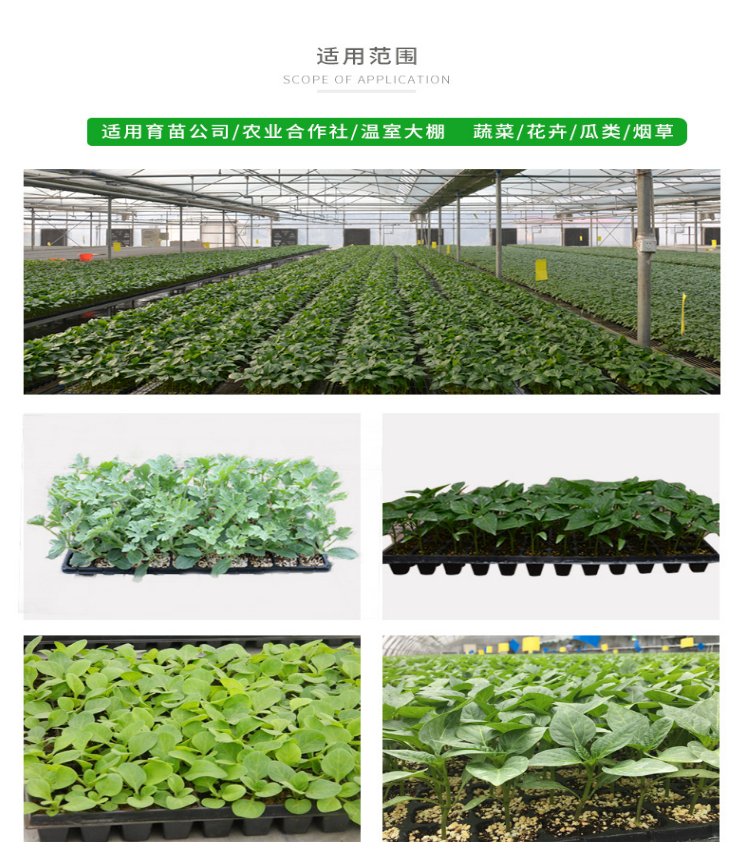 湛江育苗穴盘全国发货 水稻育秧苗_0632745c.jpg
