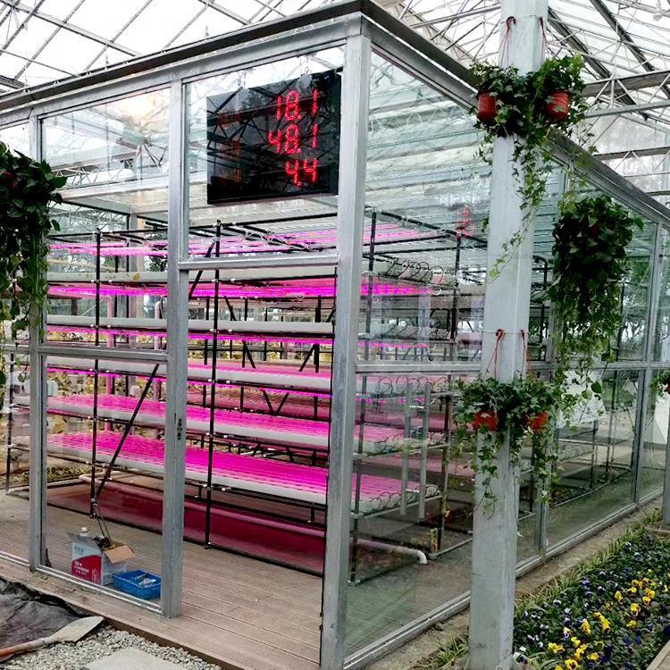 小麦苗植物工厂_08298998.jpg